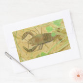 Sticker Rectangulaire Écrepoisson (Enveloppe)