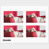 Sticker Rectangulaire ecs orange et blanc chillin (Feuille)