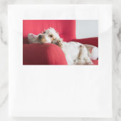 Sticker Rectangulaire ecs orange et blanc chillin (Sac)