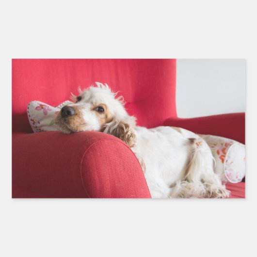 Sticker Rectangulaire ecs orange et blanc chillin (Devant)