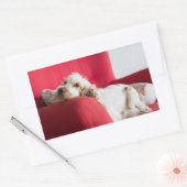 Sticker Rectangulaire ecs orange et blanc chillin (Enveloppe)