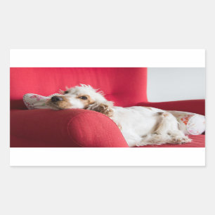 Sticker Rectangulaire ecs orange et blanc chillin