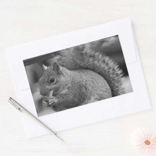 Sticker Rectangulaire Écureuil (Enveloppe)