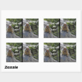 Sticker Rectangulaire Écureuil de terrain amusant Descends de ma pelouse (Feuille)