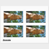 Sticker Rectangulaire Écureuil droit (Feuille)