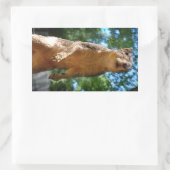 Sticker Rectangulaire Écureuil droit (Sac)