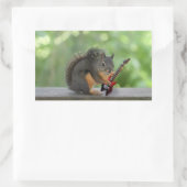 Sticker Rectangulaire Écureuil Jouant de la guitare électrique (Sac)