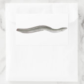 Sticker Rectangulaire Eel européen (Sac)
