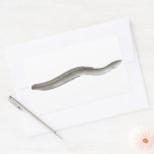 Sticker Rectangulaire Eel européen (Enveloppe)