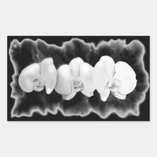 Sticker Rectangulaire Élégant noir blanc tropical orchidées floral (Devant)