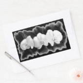 Sticker Rectangulaire Élégant noir blanc tropical orchidées floral (Enveloppe)
