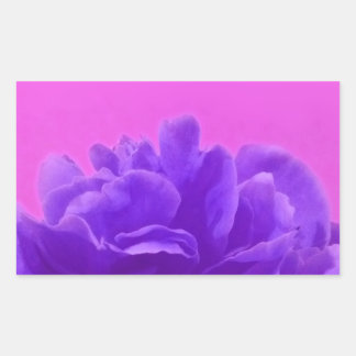 Sticker Rectangulaire Elegant Purple Raspberry Floral