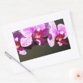 Sticker Rectangulaire Élégant rose fleurs tropicales orchidées (Enveloppe)