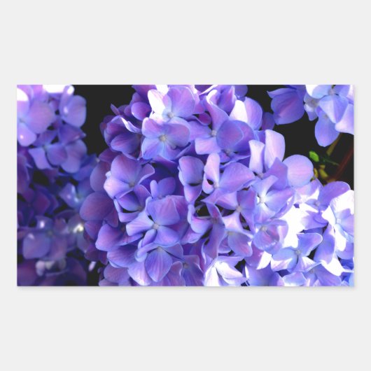 Sticker Rectangulaire Elégante florales violettes profondes perwinkle hy (Devant)