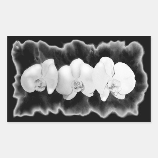 Sticker Rectangulaire Elégante orchidée noire blanche (Devant)