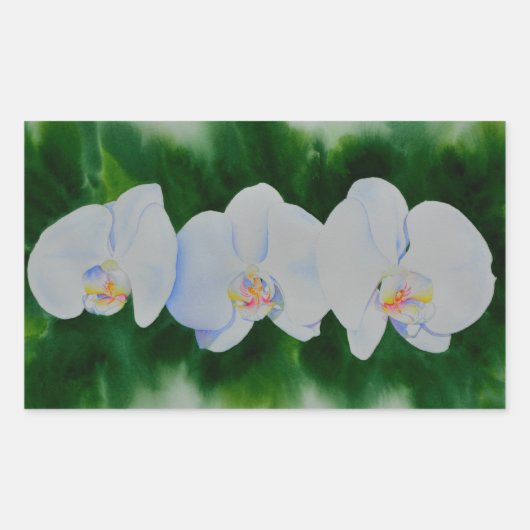Sticker Rectangulaire Elégante peinture d'orchidée tropicale blanche (Devant)