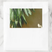 Sticker Rectangulaire Élégante plante verte feuille herbes fraîches coup (Sac)