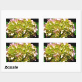 Sticker Rectangulaire Elégantes hydrangées florales vertes et douces (Feuille)