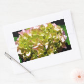 Sticker Rectangulaire Elégantes hydrangées florales vertes et douces (Enveloppe)