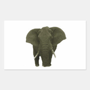 Sticker Rectangulaire Eléphant africain