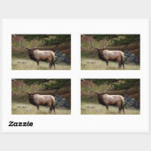 Sticker Rectangulaire Elk dans l'autocollant sauvage (Feuille)