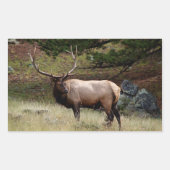 Sticker Rectangulaire Elk dans l'autocollant sauvage (Devant)