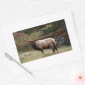 Sticker Rectangulaire Elk dans l'autocollant sauvage (Enveloppe)