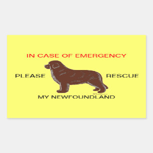 Sticker Rectangulaire En cas d'urgence sécurité de chien de Terre-Neuv