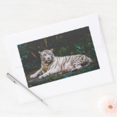 Sticker rectangulaire en tigre (Enveloppe)