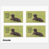 Sticker Rectangulaire english cocker spaniel amour avec image (Feuille)