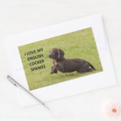 Sticker Rectangulaire english cocker spaniel amour avec image (Enveloppe)