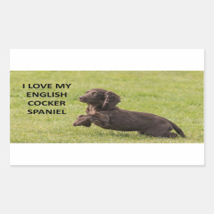 Sticker Rectangulaire english cocker spaniel amour avec image