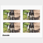 Sticker Rectangulaire english cocker spaniel noir roan plein (Feuille)