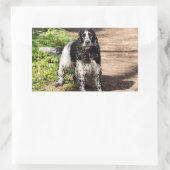 Sticker Rectangulaire english cocker spaniel noir roan plein (Sac)