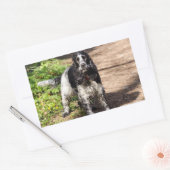 Sticker Rectangulaire english cocker spaniel noir roan plein (Enveloppe)