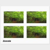 Sticker Rectangulaire Érables dans la forêt de séquoias (Feuille)
