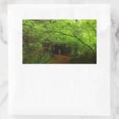 Sticker Rectangulaire Érables dans la forêt de séquoias (Sac)