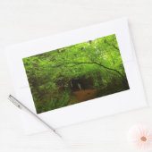 Sticker Rectangulaire Érables dans la forêt de séquoias (Enveloppe)