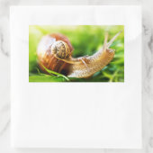 Sticker Rectangulaire Escargots (Sac)