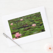 Sticker Rectangulaire Etang de fleurs de lys d'eau rose (Enveloppe)