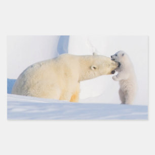 Sticker Rectangulaire États-Unis, Alaska, North Slope Ours polaires