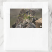 Sticker Rectangulaire Été - American Pica (Sac)