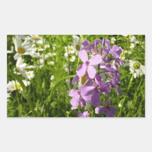 Sticker Rectangulaire Été Lilac et marguerites