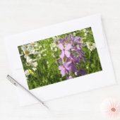 Sticker Rectangulaire Été Lilac et marguerites (Enveloppe)