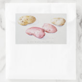 Sticker Rectangulaire Étude sur la pomme de terre 1993 (Sac)