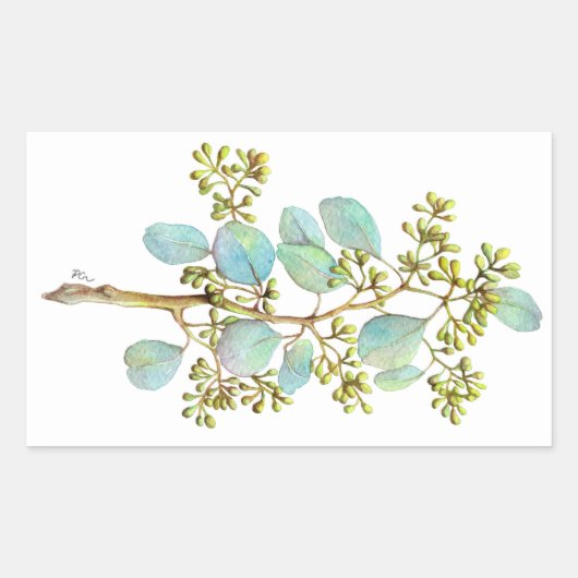 Sticker Rectangulaire Eucalyptus prédéfini 01 (Devant)