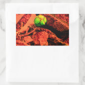Sticker Rectangulaire explorateur de moustiques (Sac)