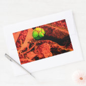 Sticker Rectangulaire explorateur de moustiques (Enveloppe)