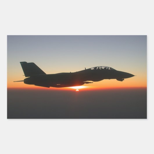 Sticker Rectangulaire F 14 Tomcat Fighter Jet (Devant)