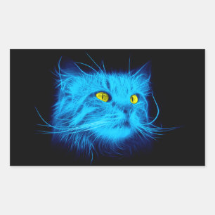 Sticker Rectangulaire Face de chat bleu